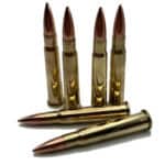 303 British Dummy Bullets